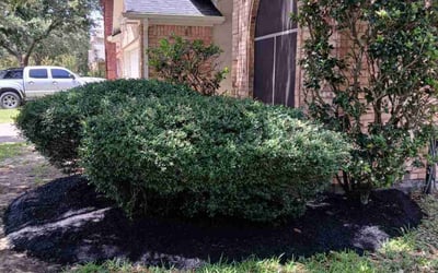 Photo of James G.'s yard after getting landscaping in Katy, TX