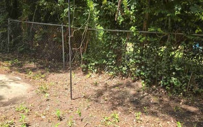Photo of Ethel H.'s yard after getting landscaping in Fayetteville, NC