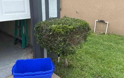 Photo of Stephanie M.'s yard after getting landscaping in Groveland, FL