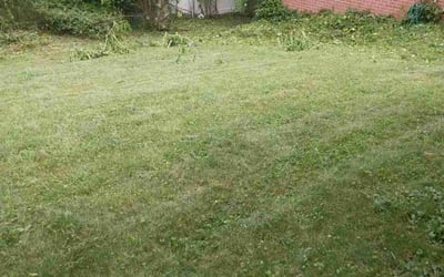 Photo of John N.'s yard after getting landscaping in Linthicum Heights, MD