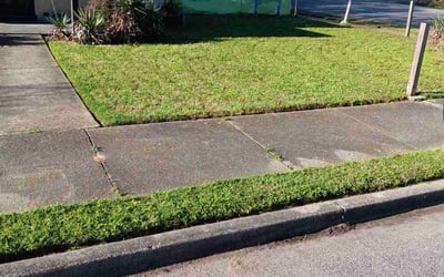 Photo of Justin S.'s yard after getting landscaping in Covington, TN