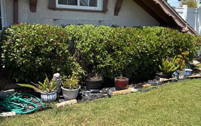 Photo of Lisa C.'s yard after getting landscaping in La Habra, CA