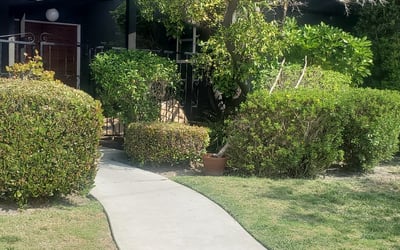 Photo of Alexis B.'s yard after getting landscaping in La Palma, CA