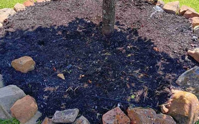 Photo of Stuart D.'s yard after getting tree care in Spring, TX