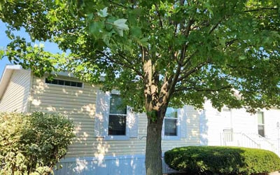Photo of John M.'s yard after getting landscaping in Jenison, MI
