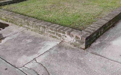 Photo of Sarah S.'s yard after getting landscaping in Charleston, SC
