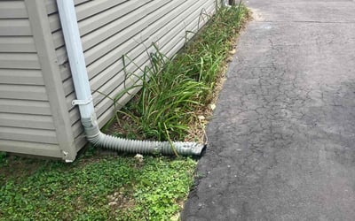 Photo of Matt P.'s yard after getting landscaping in Florissant, MO