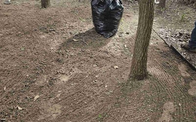 Photo of Brittany K.'s yard after getting tree care in Pleasanton, TX