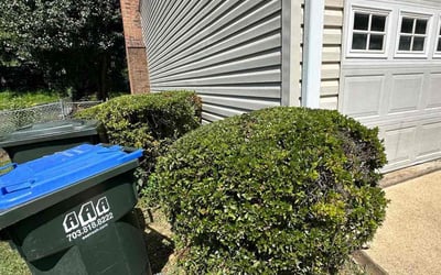 Photo of Sarah P.'s yard after getting landscaping in Bealeton, VA