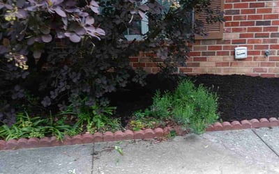 Photo of Richard R.'s yard after getting landscaping in State College, PA