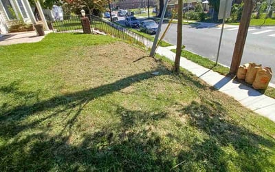 Photo of Rebecca M.'s yard after getting landscaping in Washington Grove, MD