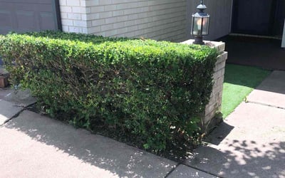 Photo of Scott M.'s yard after getting landscaping in Millsap, TX