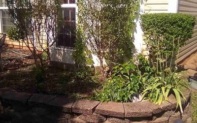 Photo of Natasha W.'s yard after getting landscaping in Heath Springs, SC