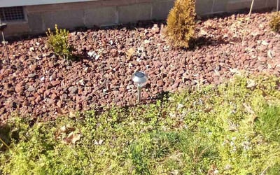 Photo of Scott T.'s yard after getting landscaping in Shawboro, NC