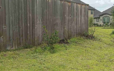 Photo of Christopher K.'s yard after getting landscaping in Pinehurst, TX