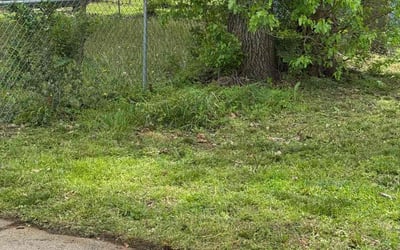 Photo of Jessica A.'s yard after getting tree care in Wichita, KS