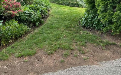 Photo of Jane L.'s yard after getting landscaping in Malvern, PA