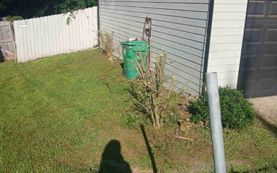 Photo of Kaela M.'s yard after getting landscaping in Lithonia, GA