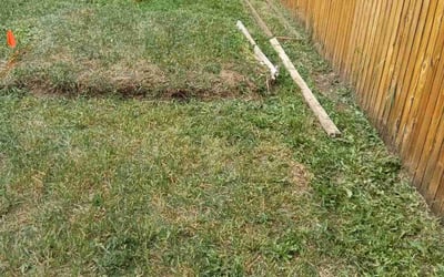 Photo of Alex G.'s yard after getting landscaping in Bailey, CO