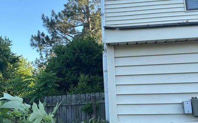 Photo of Kaleb C.'s yard after getting tree care in Corolla, NC