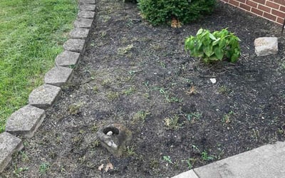 Photo of Emily B.'s yard after getting landscaping in Dayton, OH