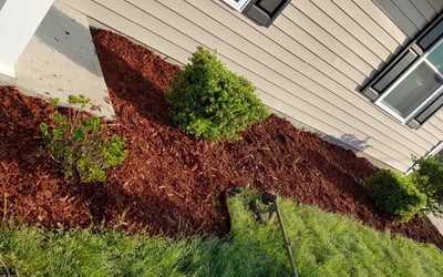 Photo of Alex W.'s yard after getting landscaping in Zuni, VA