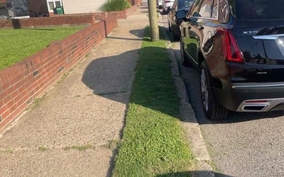 Photo of Maria G.'s yard after getting landscaping in Philadelphia, PA