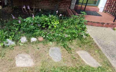 Photo of Jacquelyn P.'s yard after getting landscaping in Rocky Ridge, MD