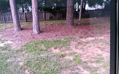 Photo of James H.'s yard after getting landscaping in Indian Trail, NC