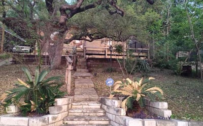 Photo of Julie N.'s yard after getting landscaping in Staples, TX
