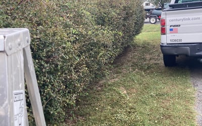 Photo of Nicole B.'s yard after getting landscaping in Providence Forge, VA
