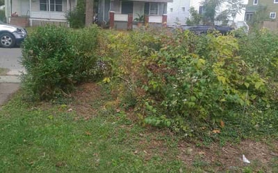 Photo of James B.'s yard after getting landscaping in Broadway, OH