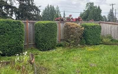 Photo of Summer M.'s yard after getting landscaping in Lake Stevens, WA