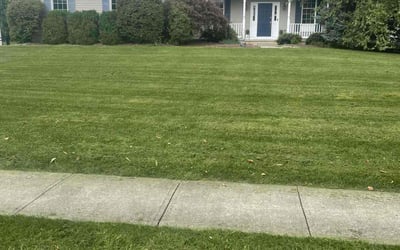 Photo of April C.'s yard after getting lawn care in Bethlehem, PA