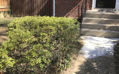 Photo of Heather S.'s yard after getting landscaping in Catharpin, VA