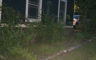 Photo of Jessica C.'s yard after getting landscaping in Latham, NY