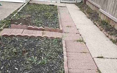 Photo of Brandon R.'s yard after getting landscaping in Melrose Park, IL