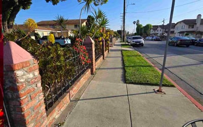 Photo of Amber S.'s yard after getting landscaping in Woodland Hills, CA