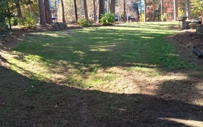 Photo of Jim C.'s yard after getting landscaping in Molena, GA