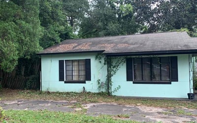 Photo of Luis G.'s yard after getting landscaping in Panacea, FL