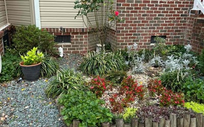 Photo of Sarah T.'s yard after getting landscaping in Moon, VA