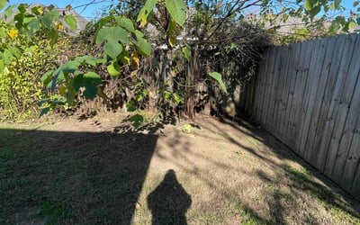 Photo of Anthony N.'s yard after getting landscaping in New Roads, LA