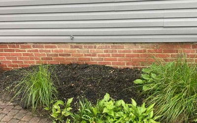 Photo of Marquita F.'s yard after getting landscaping in Euclid, OH