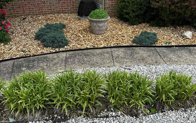Photo of Michelle A.'s yard after getting landscaping in Mc Lean, VA