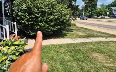Photo of Rosemary O.'s yard after getting landscaping in Plainfield, IL