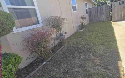 Photo of Austin M.'s yard after getting landscaping in Chula Vista, CA