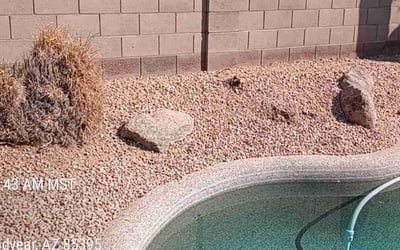 Photo of Linda J.'s yard after getting lawn care in Goodyear, AZ