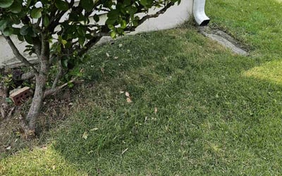 Photo of Kenneth T.'s yard after getting landscaping in Fort Washington, MD