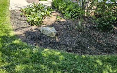Photo of David B.'s yard after getting landscaping in South Bloomingville, OH