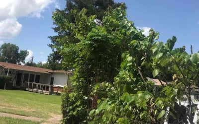 Photo of Marie R.'s yard after getting landscaping in Wolfe City, TX